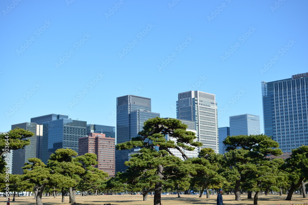 ２０２０年東京オリンピックの年の東京の風景　正月の丸の内のビル群の風景