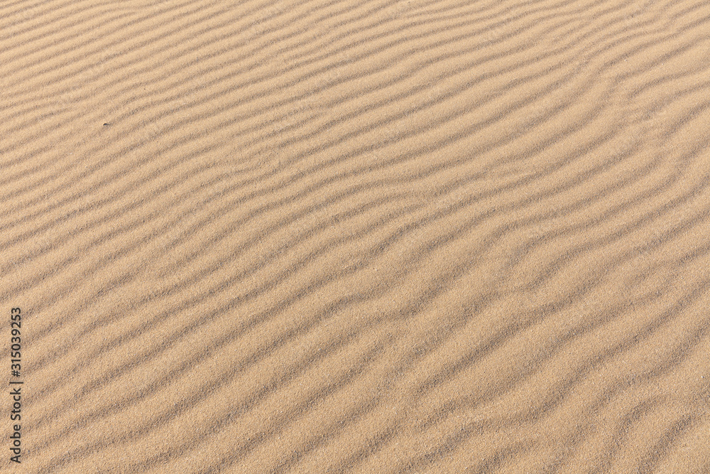 Sand Texture. Background from fine sand. Sand background. selective focus Sand Texture. Background from fine sand. Sand background. selective focus