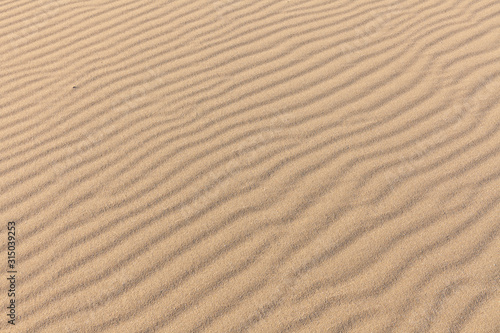 Sand Texture. Background from fine sand. Sand background. selective focus