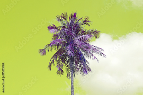 Nature scene of lonely coconut tree with yellow sky background at phuket Thailand. - pastel patterns © kittinit