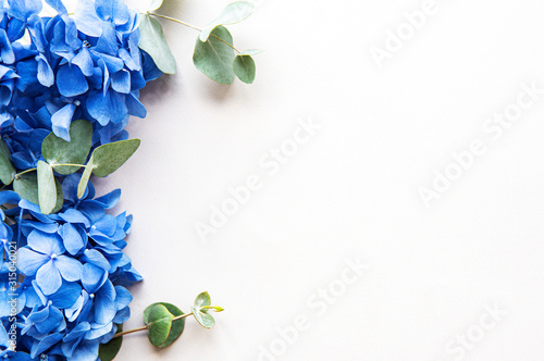 Obraz na płótnie Blue hydrangea flowers