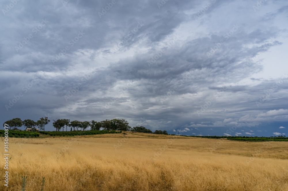 Farmland landscape of paddock, field with dry yellow grass and storm cloud above