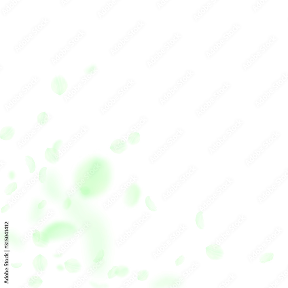 Green flower petals falling down. Powerful romanti Green flower petals falling down. Powerful romanti