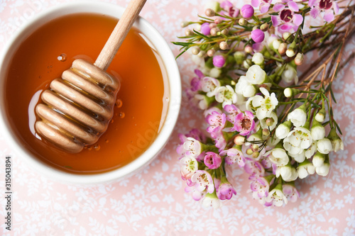 manuka honey and blooming manuka flower tree on a pink background