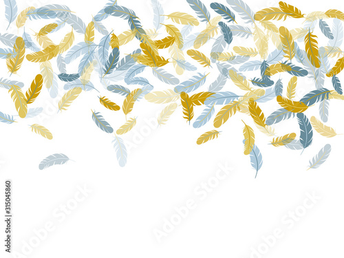 Fluffy twirled feathers on white design.