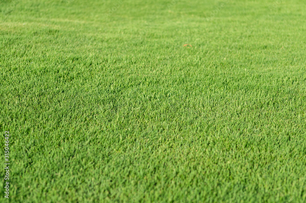 natural green trimmed grass field background natural green trimmed grass field background