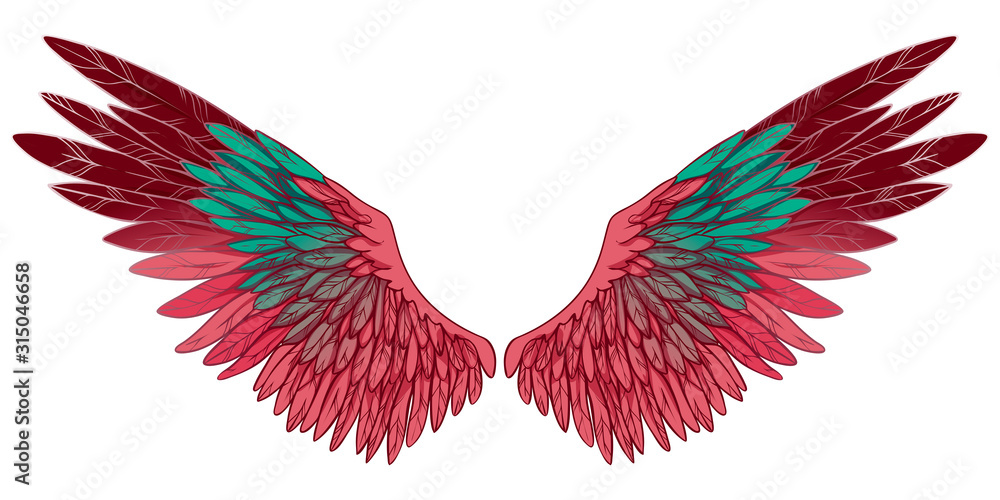 Obraz Beautiful pink burgundy turquoise gradient wings, vector