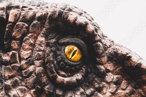 Eye of the dinosaurs with terrifying.