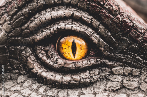 Fototapeta Eye of the dinosaurs with terrifying.