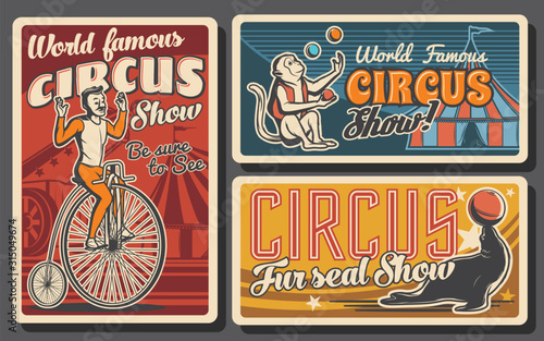 Circus or carnival top tent show retro banners. Vector acrobat riding vintage bicycle, trained animals and rocket man cannon, monkey and seal juggling balls on arena of chapiteau marquee