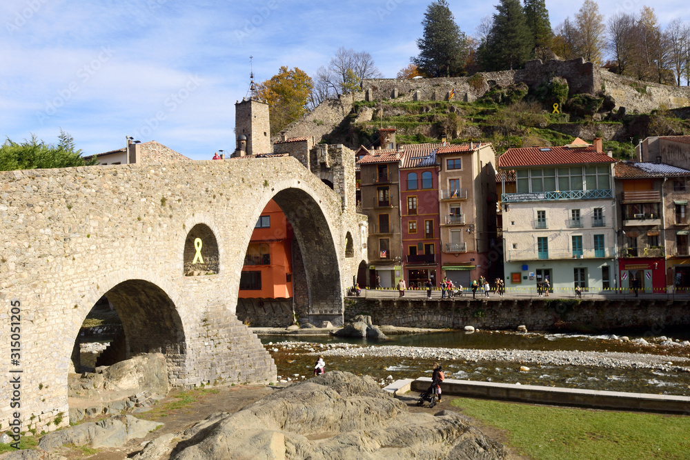 medieval bridge, Camprodon Girona province,Catalomia, Spain