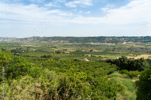 Rural landscape near Policoro  Basilicata
