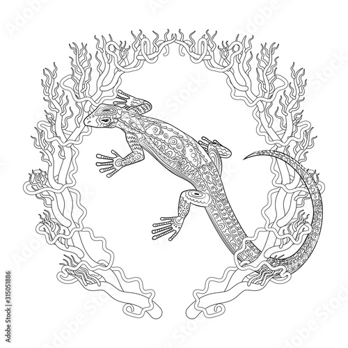 Coloring page with lizard in patterned style.