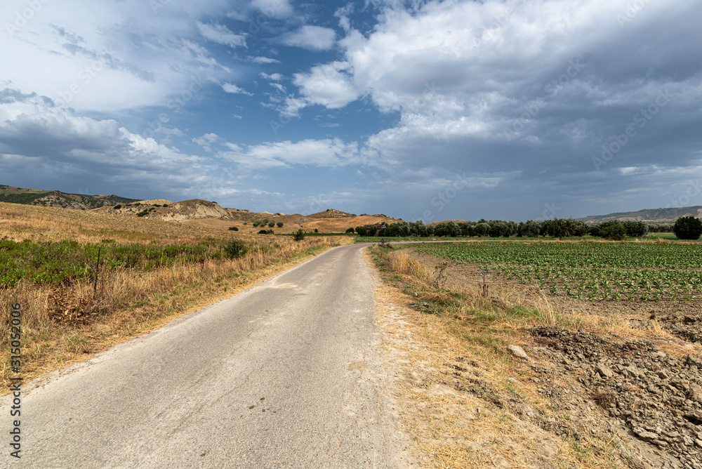 Rural landscape in Matera province at summer