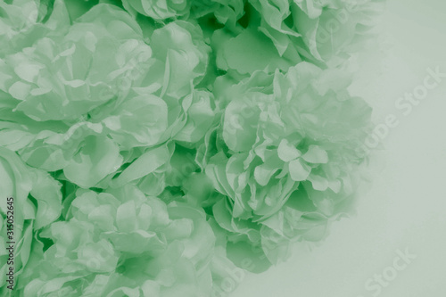 Beautiful abstract color white and green flowers on white background and white flower frame and green leaves texture, green background, colorful white banner happy valentine
