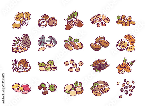 Nuts and seeds color line icons set. Nuts are the hard-shelled fruit of certain plants. Seeds are a small edible plant enclosed in a seed coat. Pictogram for web page, mobile app. Editable stroke.