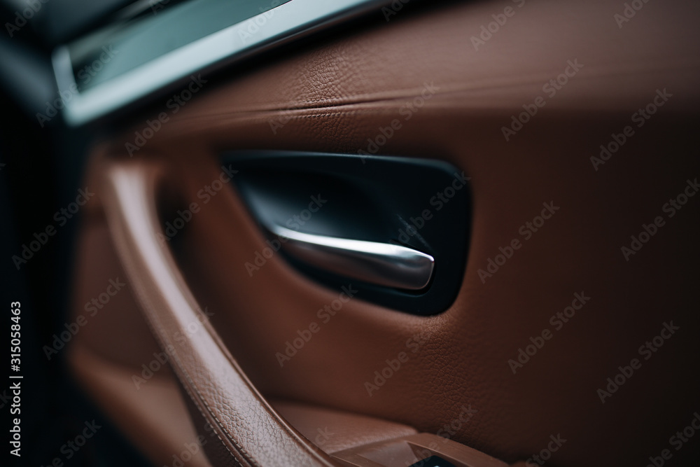 Door handle in modern luxury car