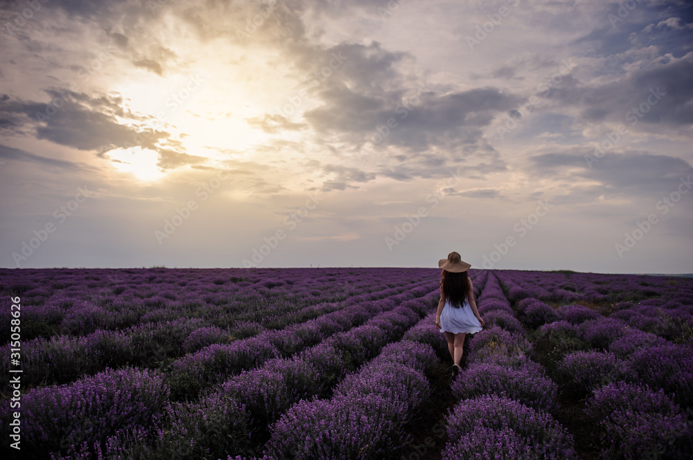 Fototapeta premium back view of a woman with hat in lavander field