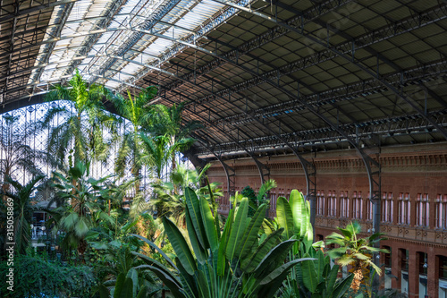View of the structure of the Atocha train station, with urban greenhouse in Madrid, Spain, Europe