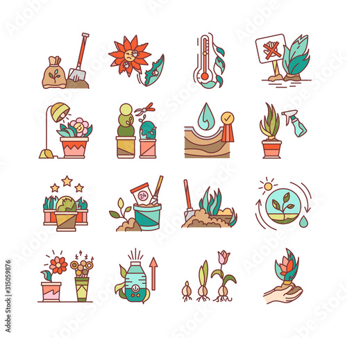 Plant care color line icons set. Complex of care procedures for plant rotation. Pictogram for web page, mobile app, promo. UI UX GUI design element. Editable stroke.