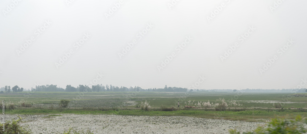 Landscape Horizon view of a model rural Indian village area with farm land and agriculture field. India Travel Tourism background. Assam North East India, South Asia Pacific.
