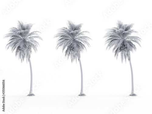 3d rendered object illustration of an abstract white palm tree