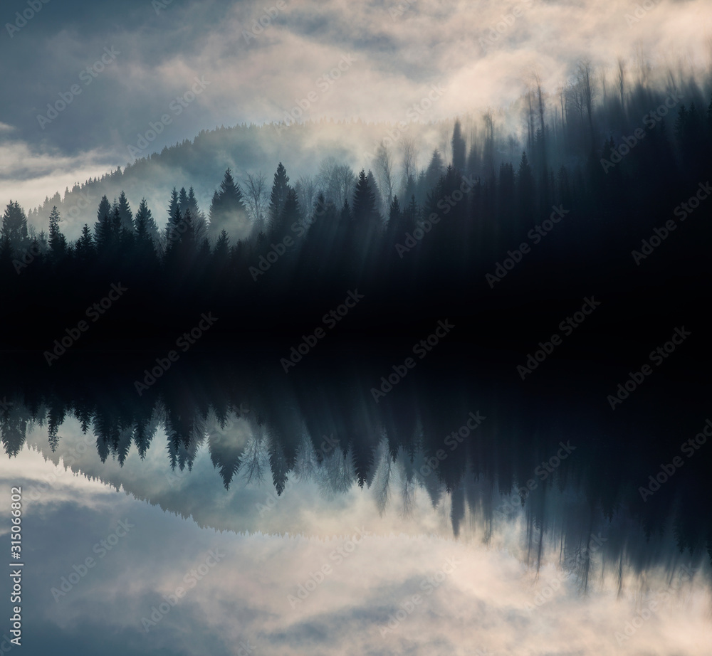 Fototapeta Abstrakcyjny obraz z mglistym lasem, odbicie lustrzane 