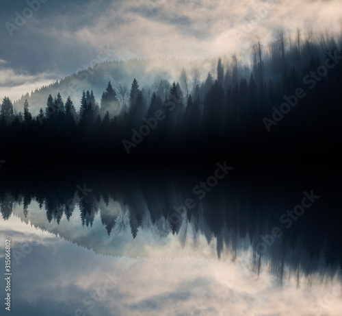 Abstract image with foggy forest that looks like sound-waves.  © belyaaa