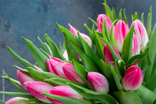 Pink fresh tulips #315067857