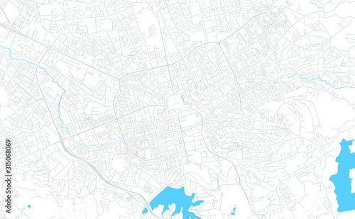 Tirana, Albania bright vector map