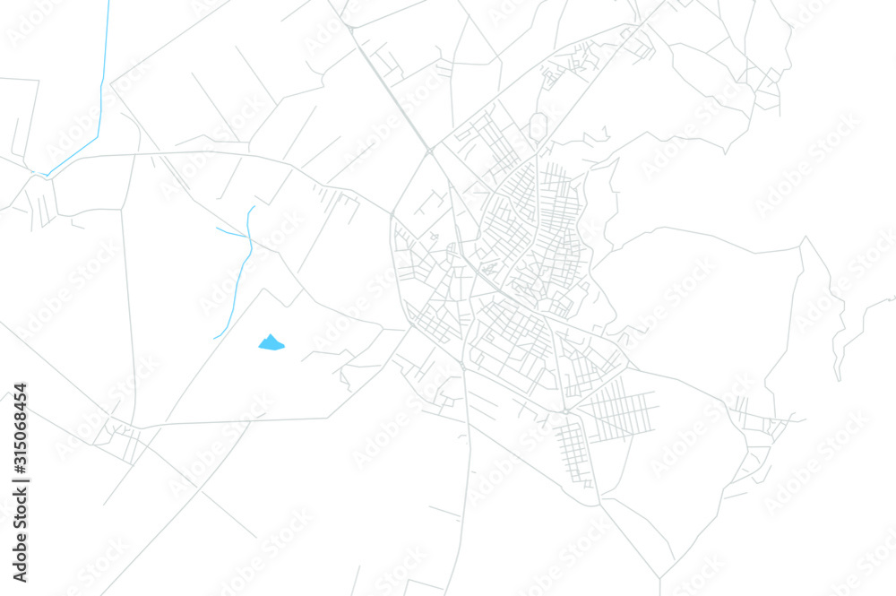 Korce, Albania bright vector map