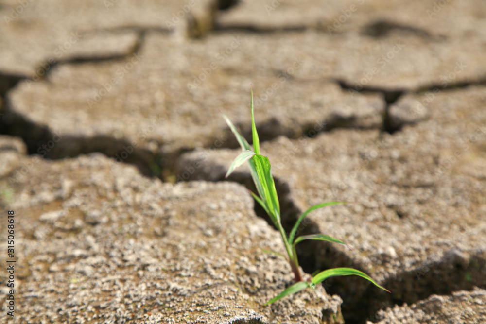 Warning of global warming : Impossible farming Warning of global warming : Impossible farming