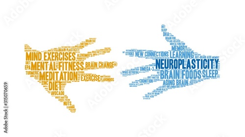 Neuroplasticity animated word cloud on a white background.  photo