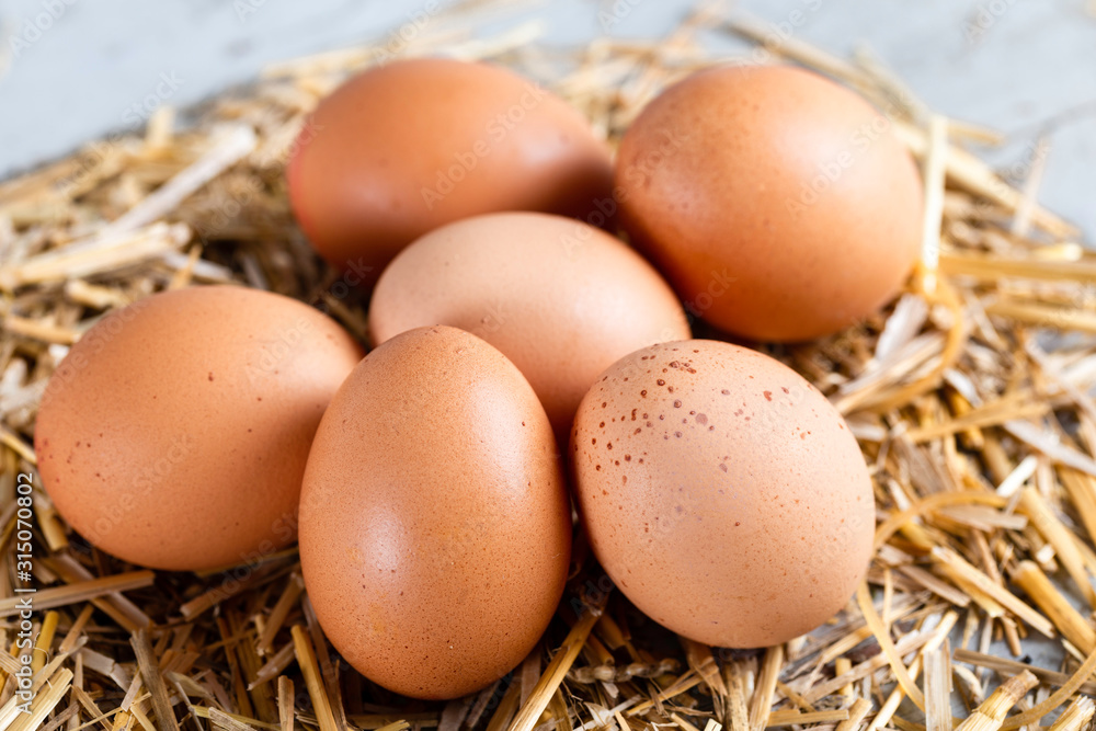 Close-up view of raw chicken eggs on hay.
