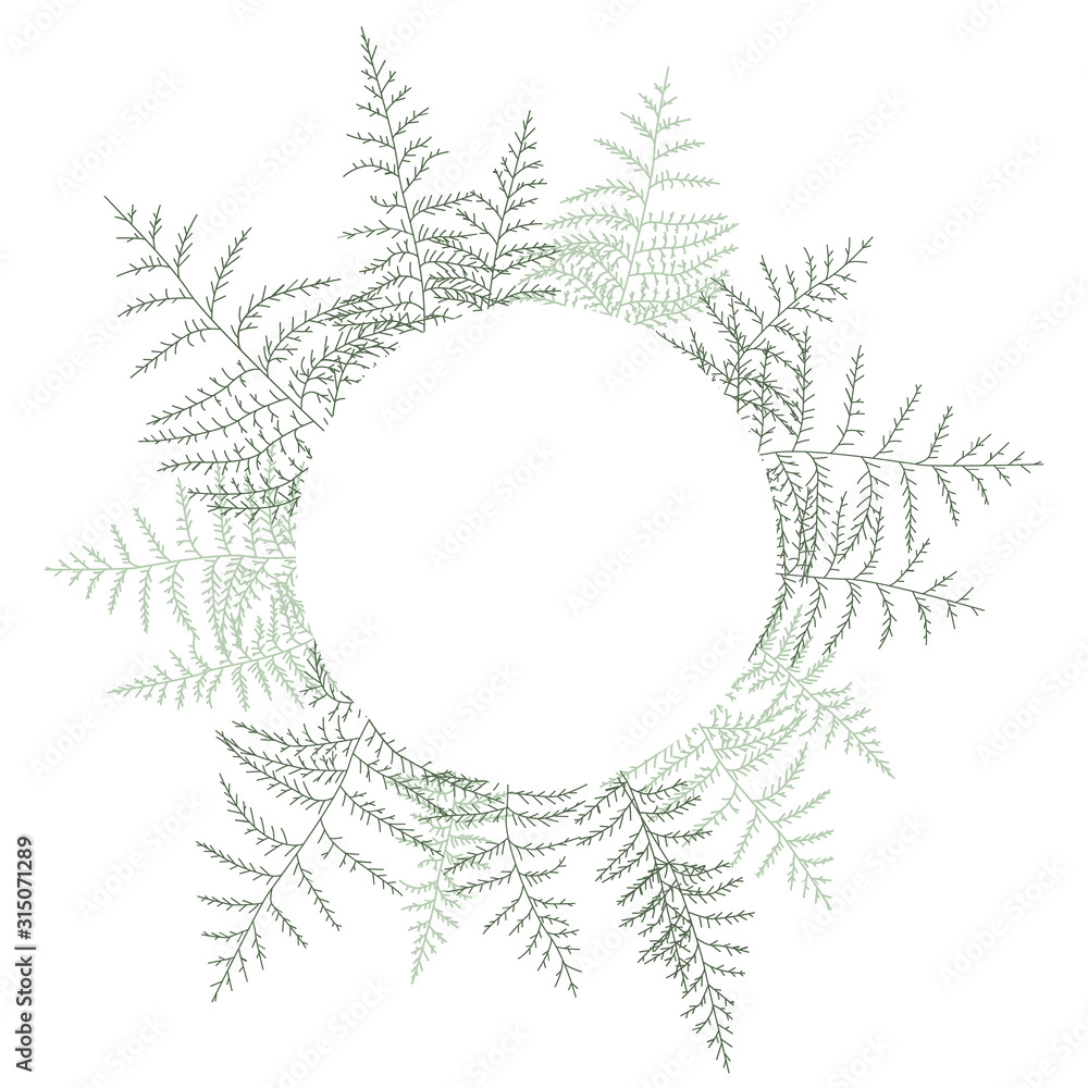 Vector illustration of bracken. Natural background, invitation card template with branches, leaf decoration. Vector illustration of bracken. Natural background, invitation card template with branches, leaf decoration.
