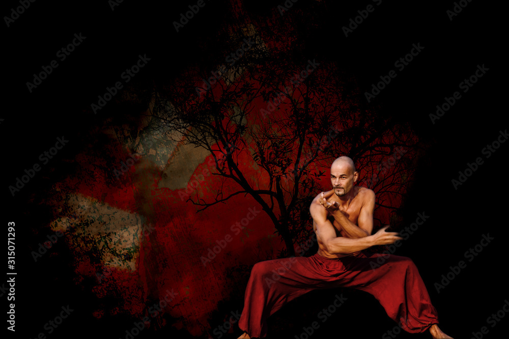 Skilled Martial Artist in low stance with artistic red background