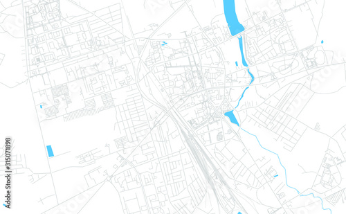 Lida, Belarus bright vector map
