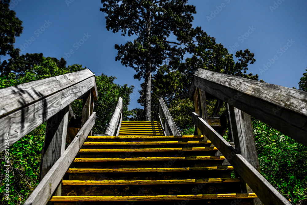 Yellow Steps in Fairhope