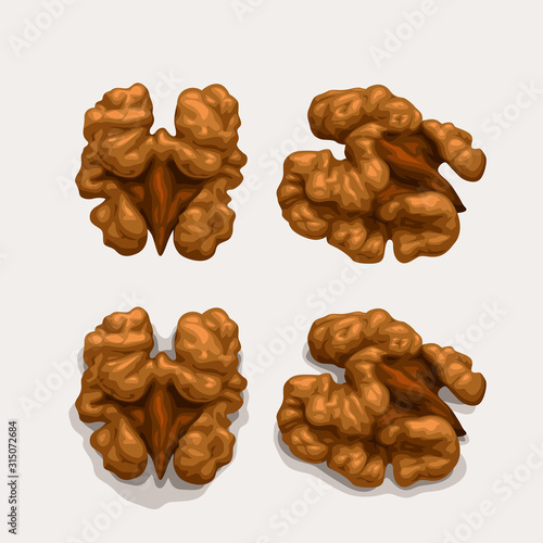 walnuts set isolated on white