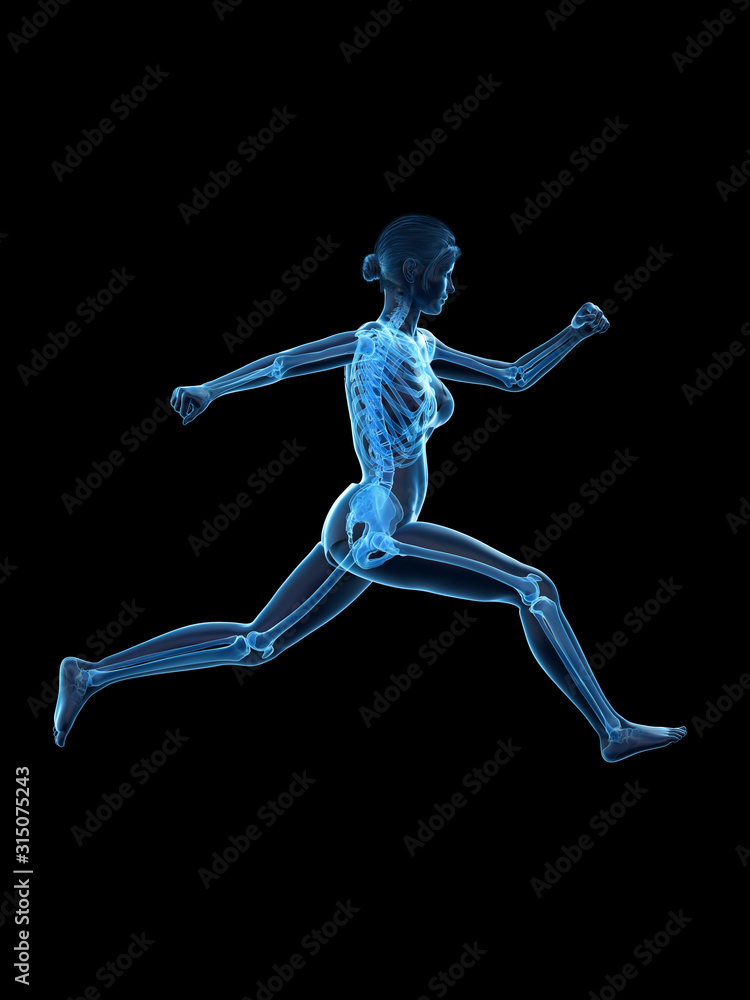 3d rendered medically accurate illustration of a woman running 3d rendered medically accurate illustration of a woman running