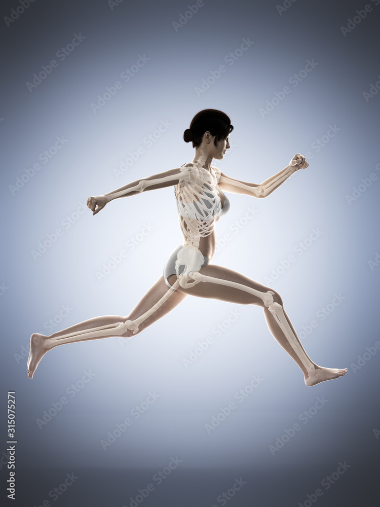 3d rendered medically accurate illustration of a woman running 3d rendered medically accurate illustration of a woman running