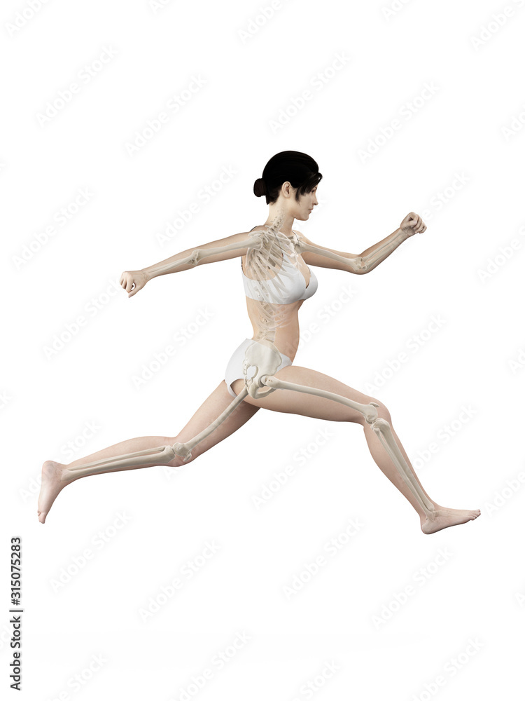 3d rendered medically accurate illustration of a woman running 3d rendered medically accurate illustration of a woman running