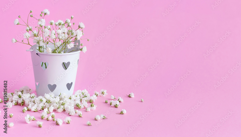 Small white flowers  in a bucket  on a pink background