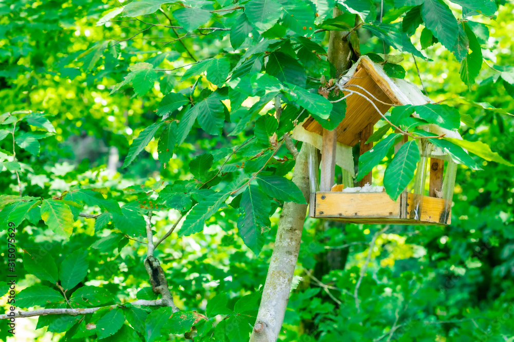 Obraz premium birdhouse