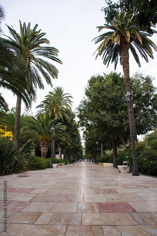 Malaga's streets. Spain. 