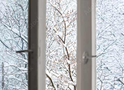 Tree branches in the snow are visible through the open window. © ILYA AKINSHIN