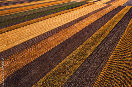 Tablou canvas Agricultural fields from above, drone photography