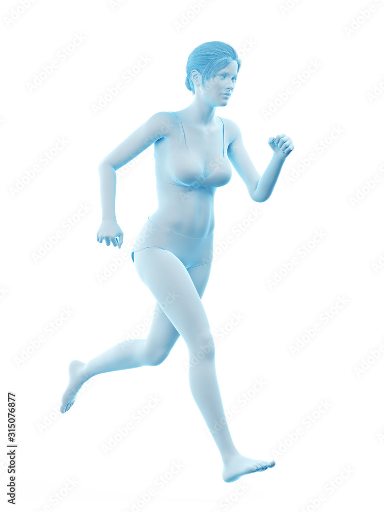 3d rendered medically accurate illustration of a woman running 3d rendered medically accurate illustration of a woman running