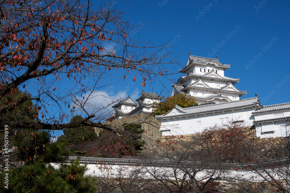 Autumn foliage in Himeji castle in Fall season in Himeji Autumn foliage in Himeji castle in Fall season in Himeji