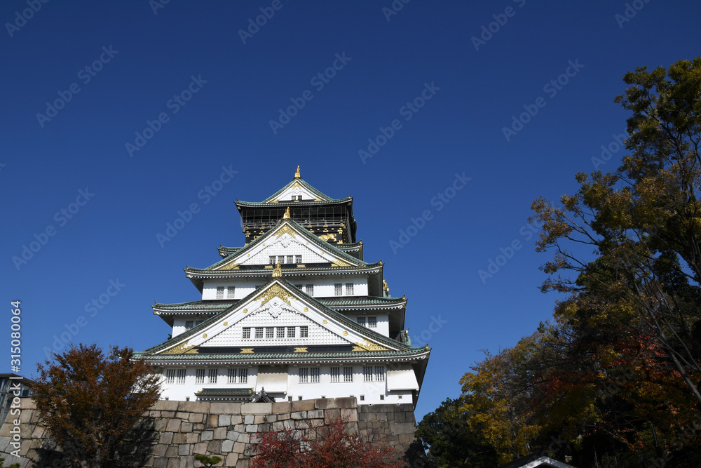 Fototapeta premium Osaka castle in Osaka, Japan